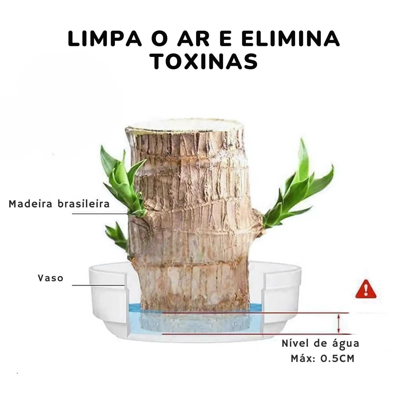 Planta Madeira Brasileira Sorte + Monge de Brinde